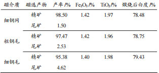 磁介質(zhì)實(shí)驗(yàn)結(jié)果